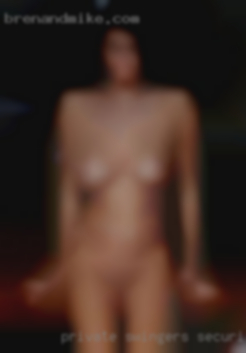 Private swingers Security Contract Manager.